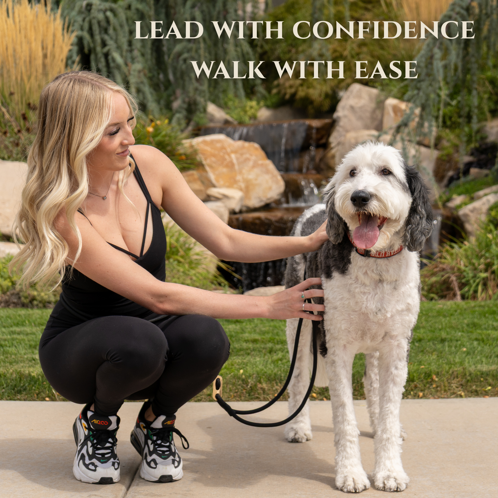 No-Pull Leash With Wrap Design