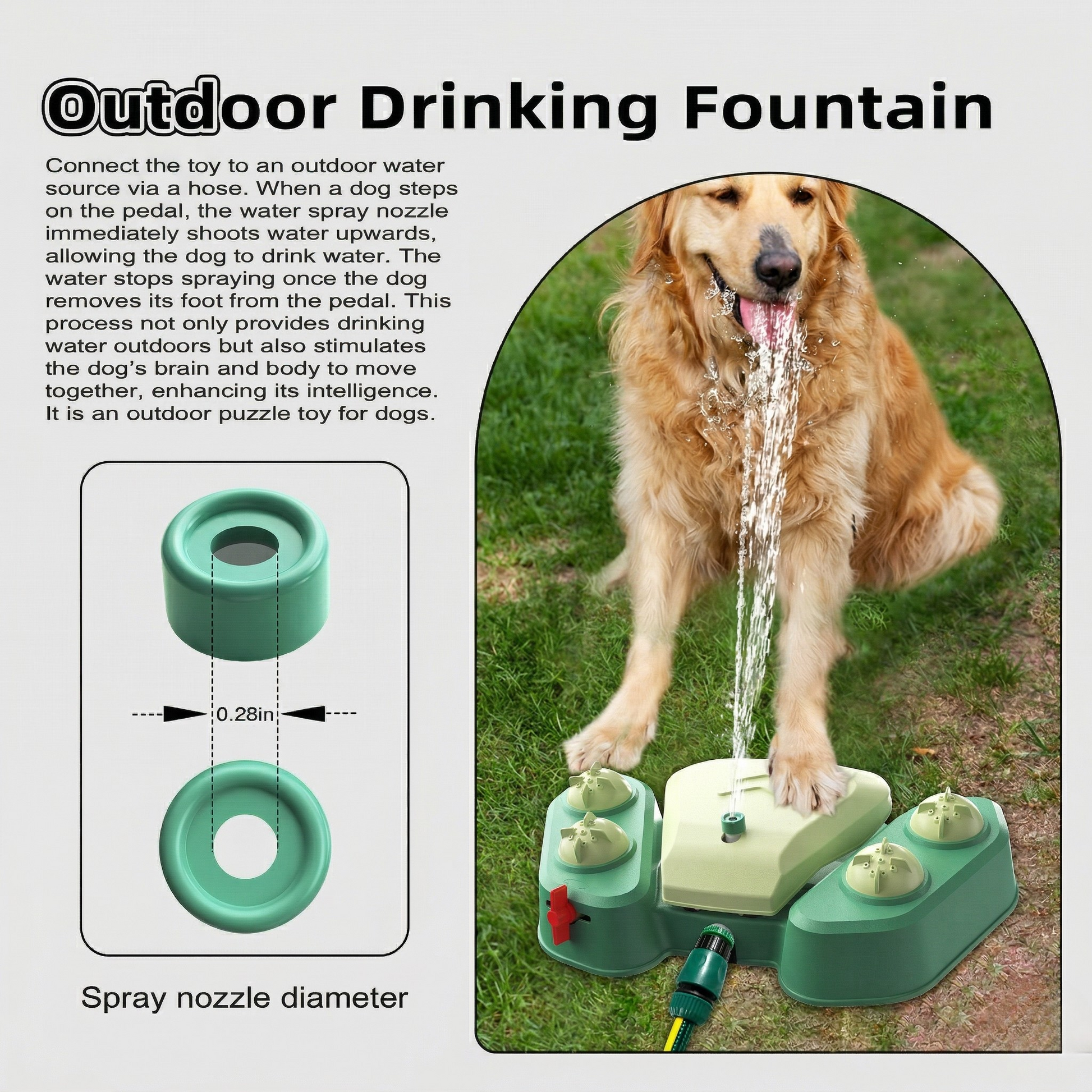 Pedal-Activated Hydration Station