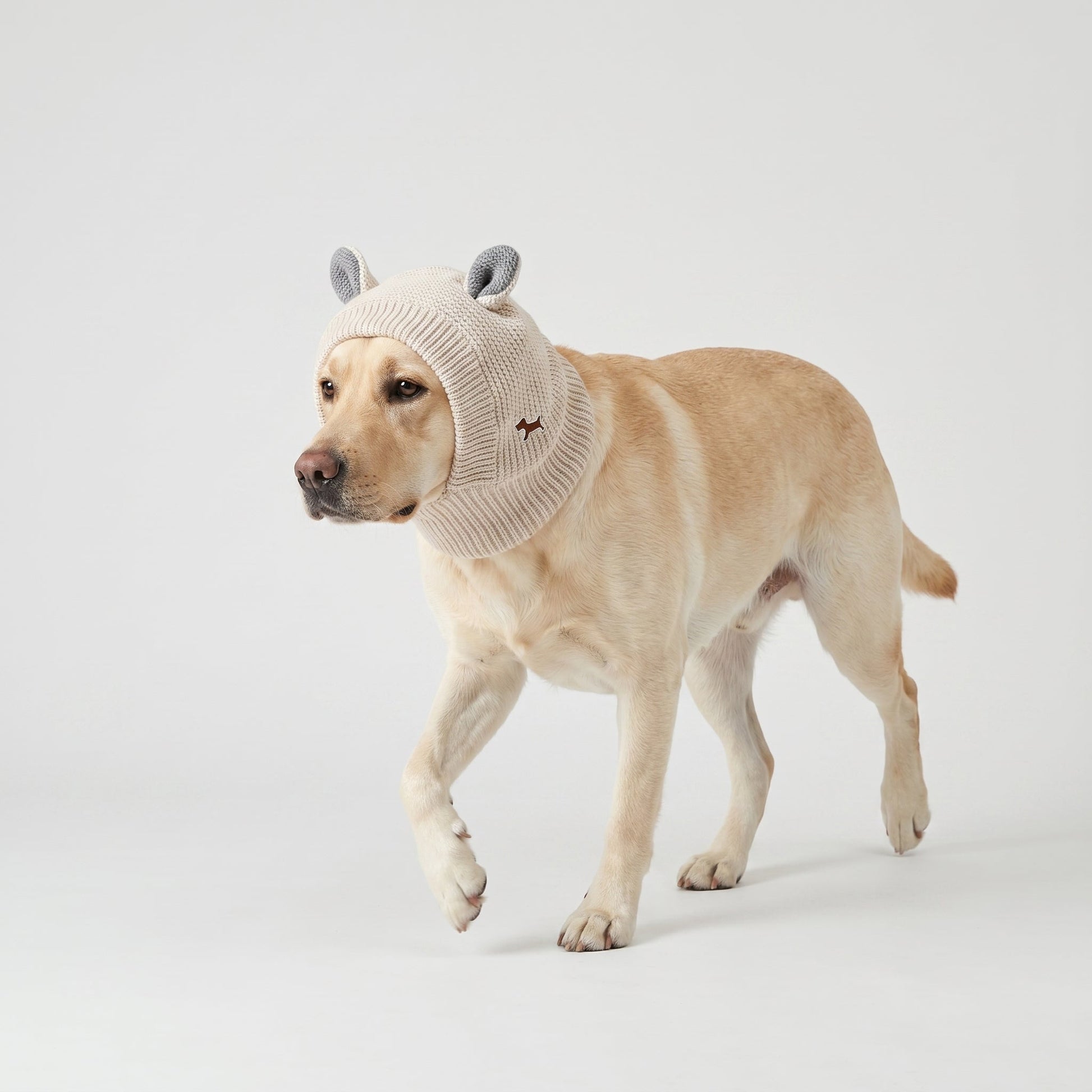 Plush Knit Rabbit Ear Hat