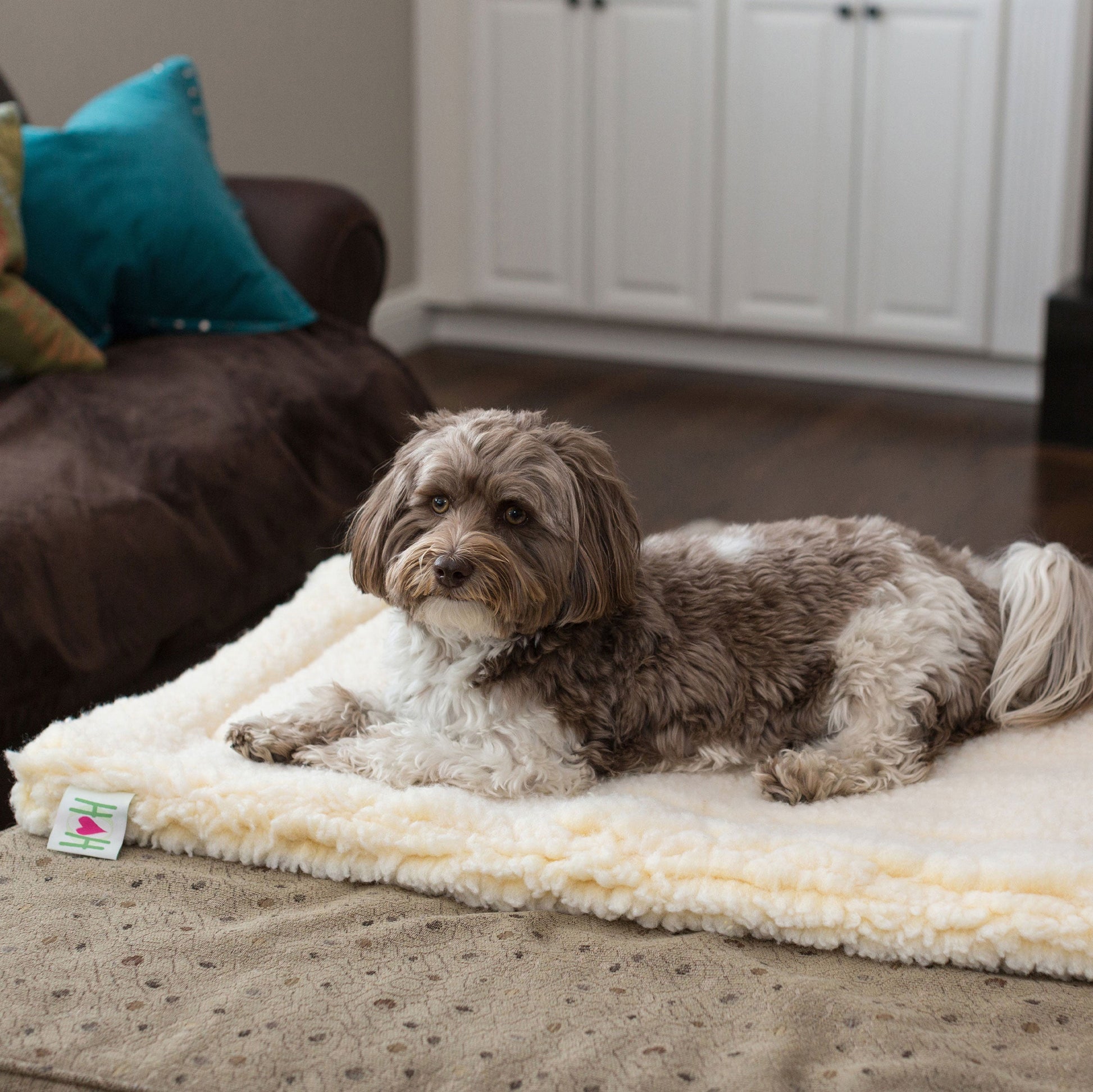 Plush Orthopedic Mat Bed