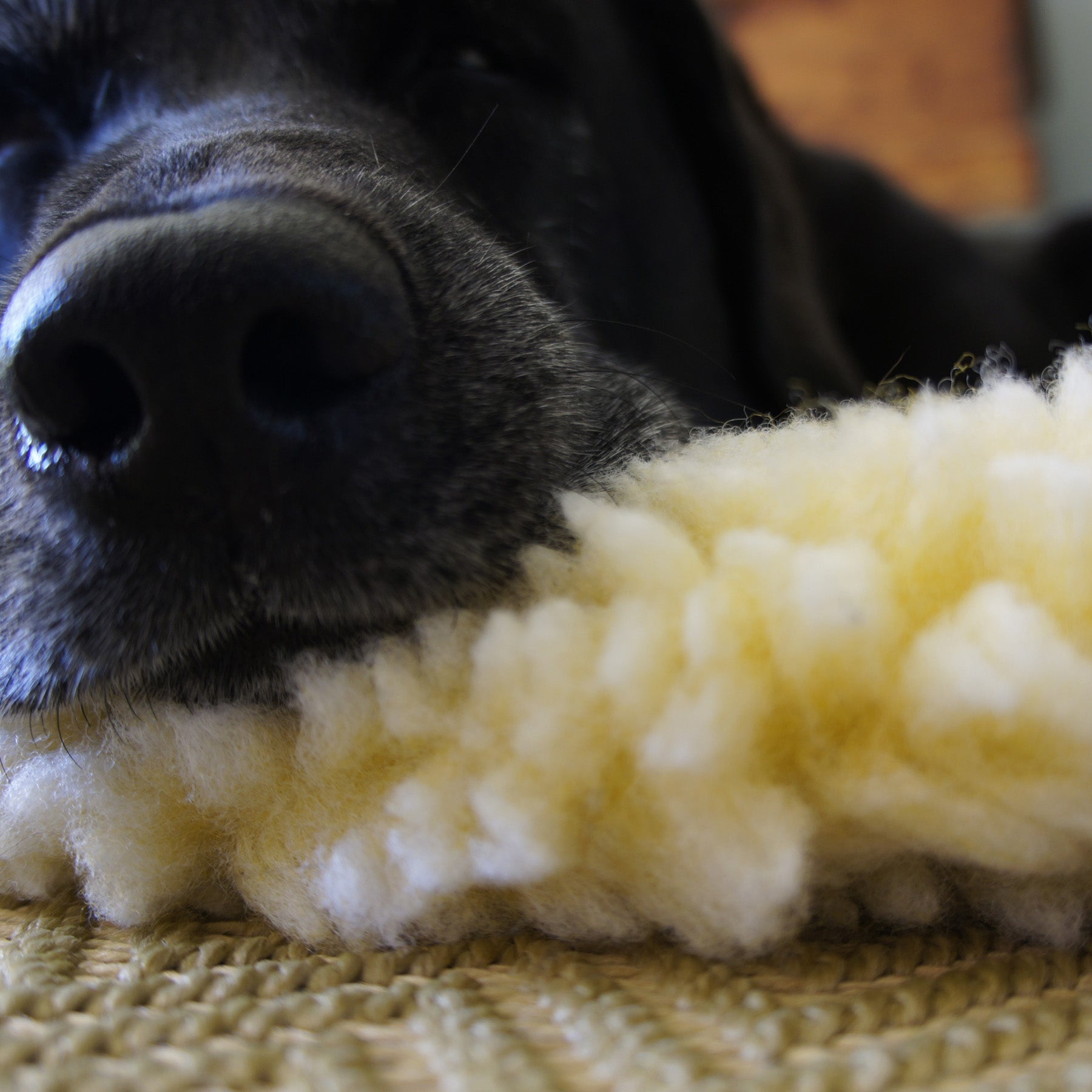 Plush Orthopedic Mat Bed