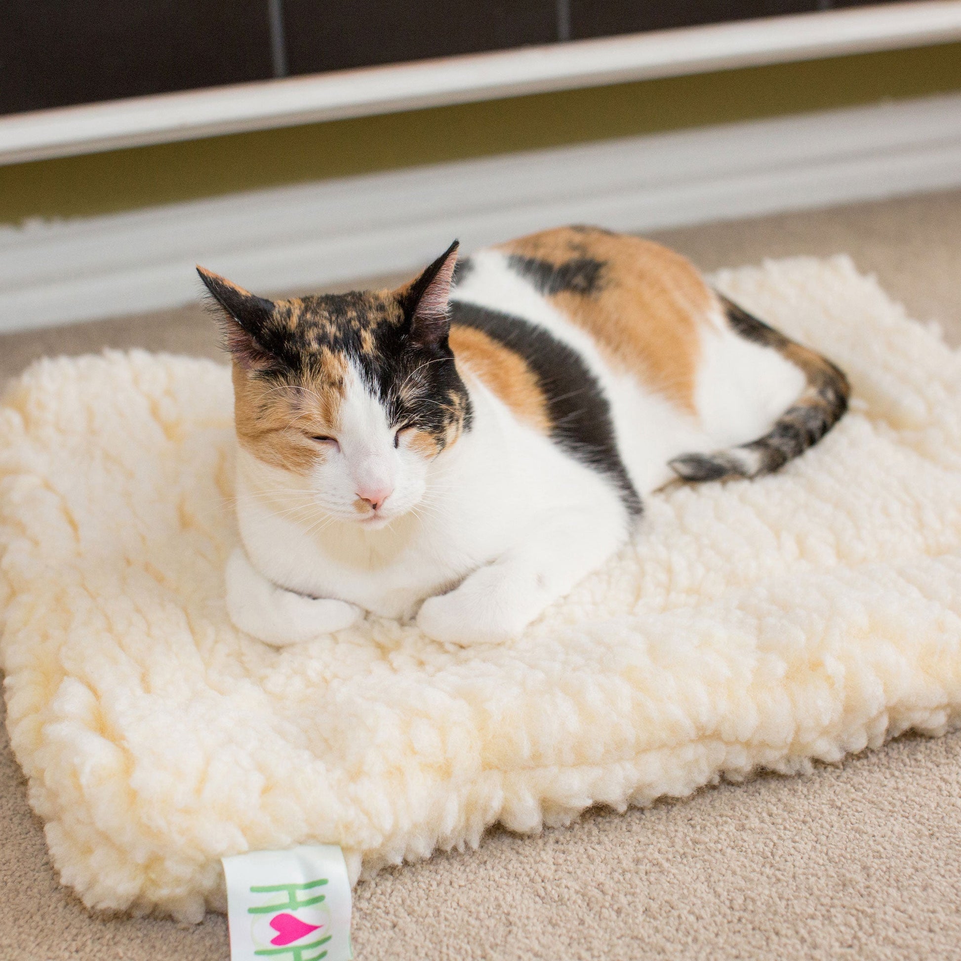 Plush Orthopedic Mat Bed