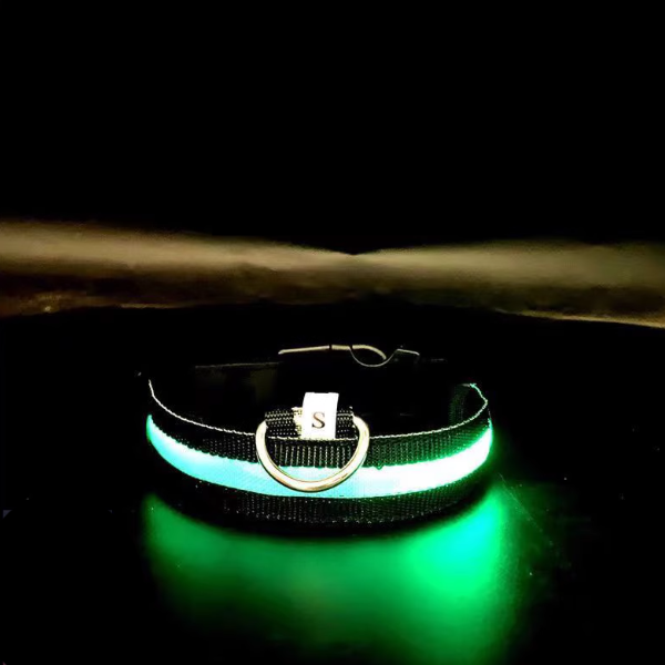 Rechargeable LED Pet Collar