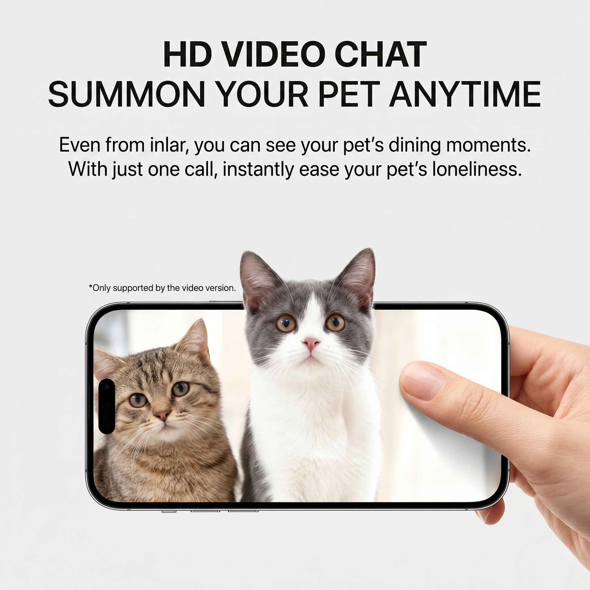 Smart Automatic Pet Feeder With Even Dispense