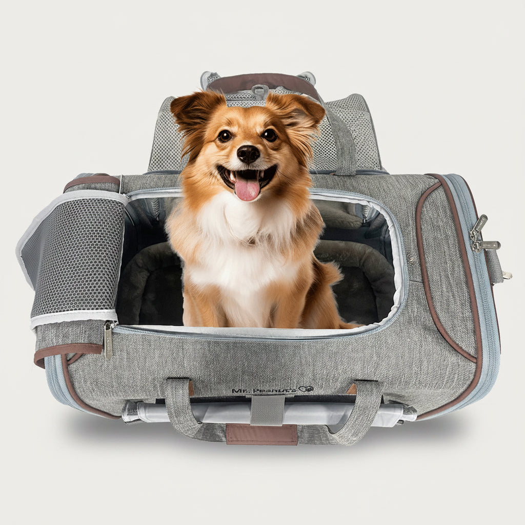 Soft Sided Expandable Pet Carrier