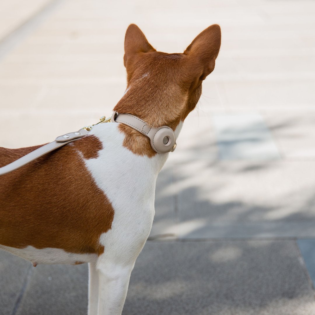 Vegan Leather Dog Collar AirTag Holder