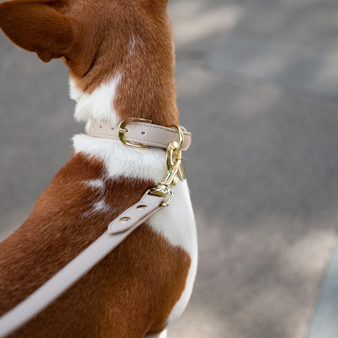 Vegan Leather Dog Collar AirTag Holder