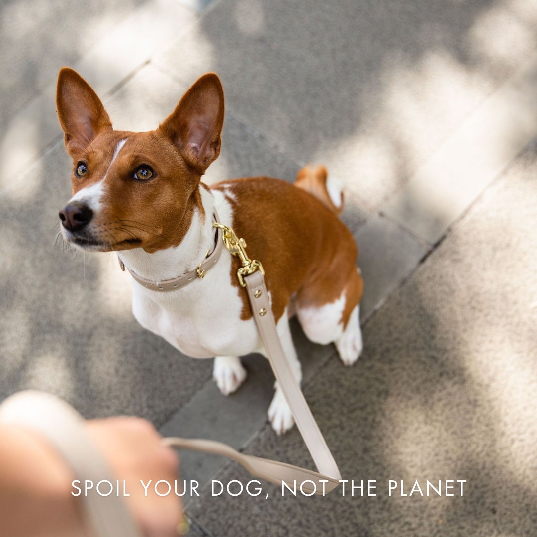 Vegan Leather Dog Collar AirTag Holder