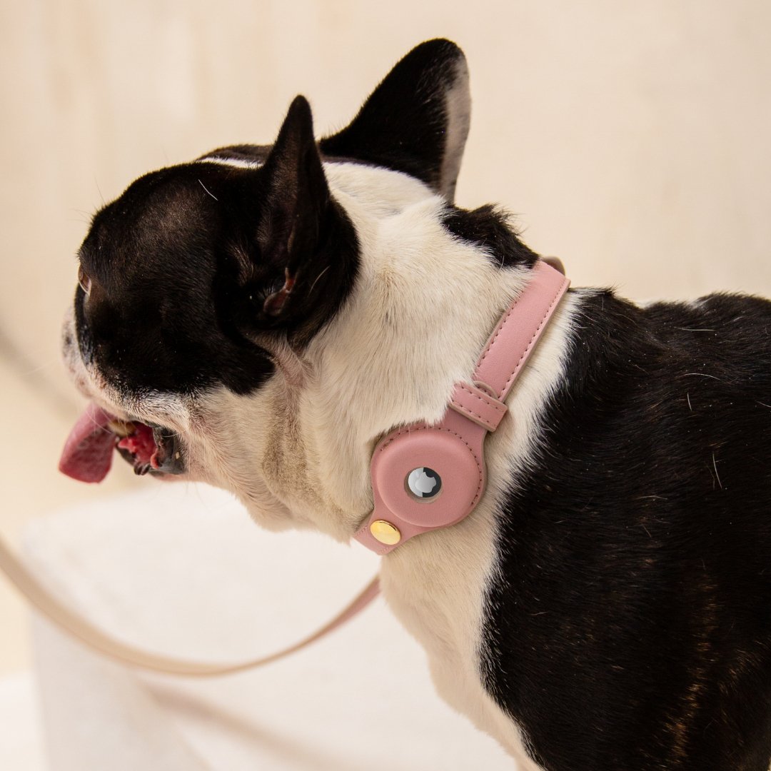 Vegan Leather Dog Collar AirTag Holder