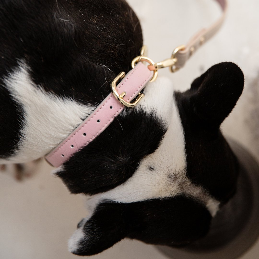Vegan Leather Dog Collar AirTag Holder