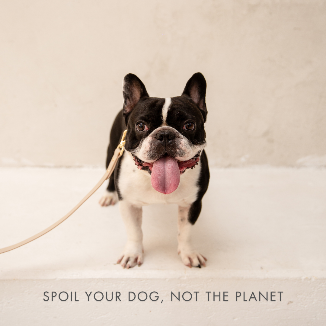 Vegan Leather Dog Collar AirTag Holder