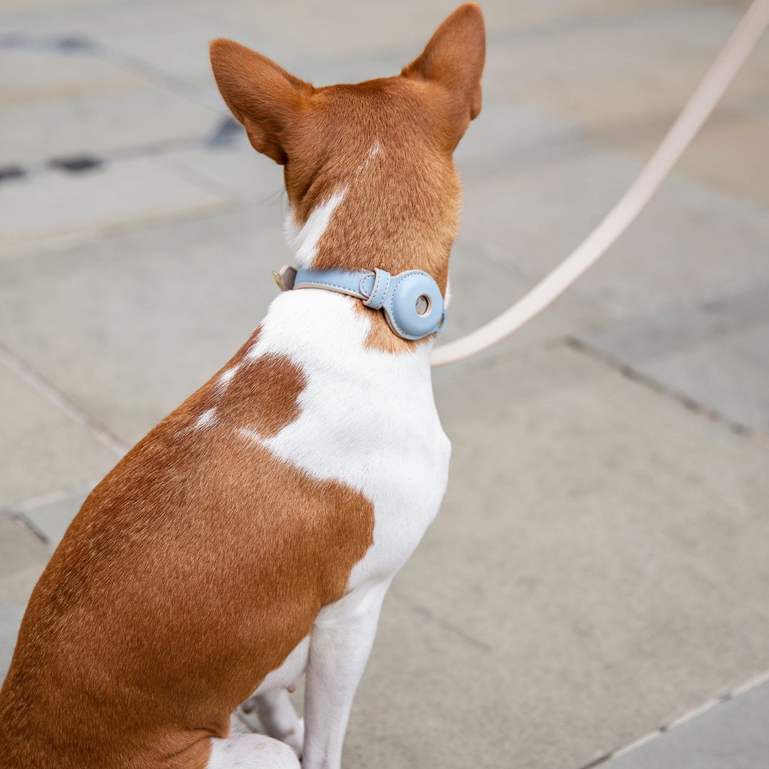 Vegan Leather Dog Collar AirTag Holder