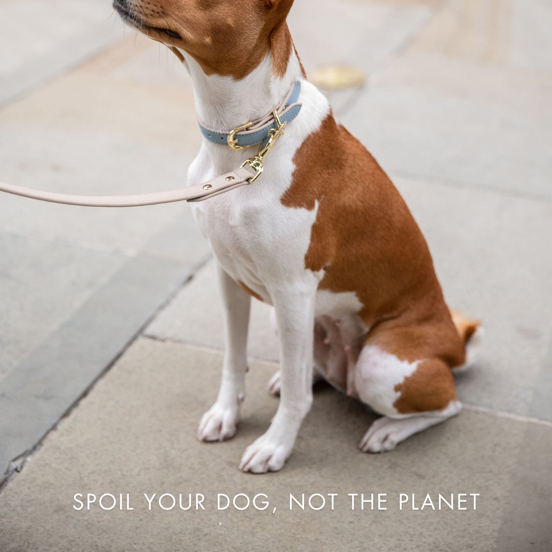Vegan Leather Dog Collar AirTag Holder