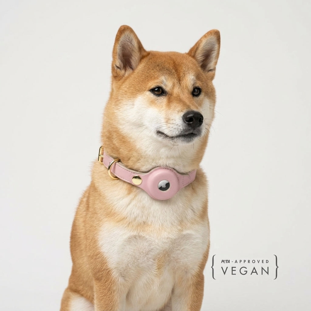 Vegan Leather Dog Collar AirTag Holder