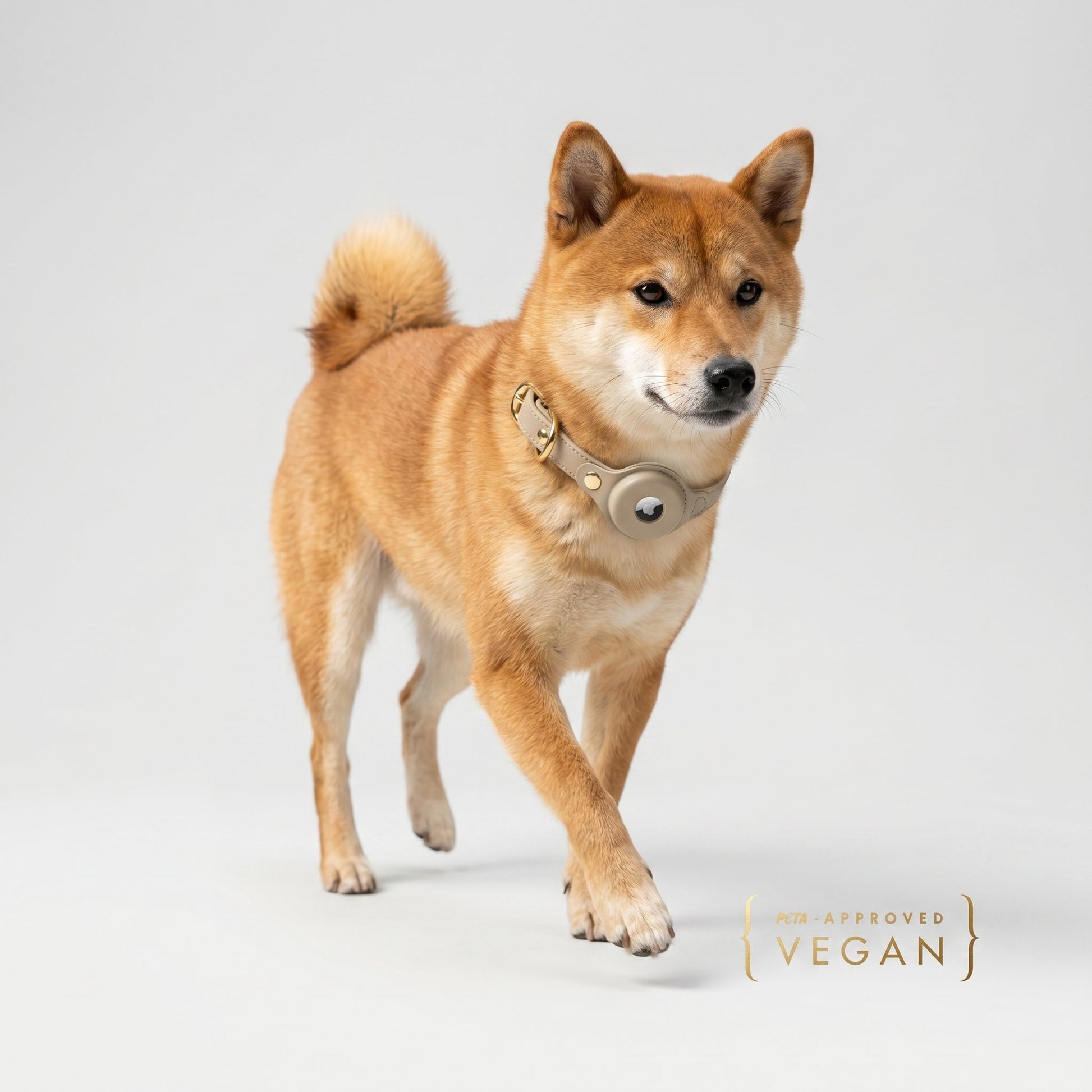 Vegan Leather Dog Collar AirTag Holder