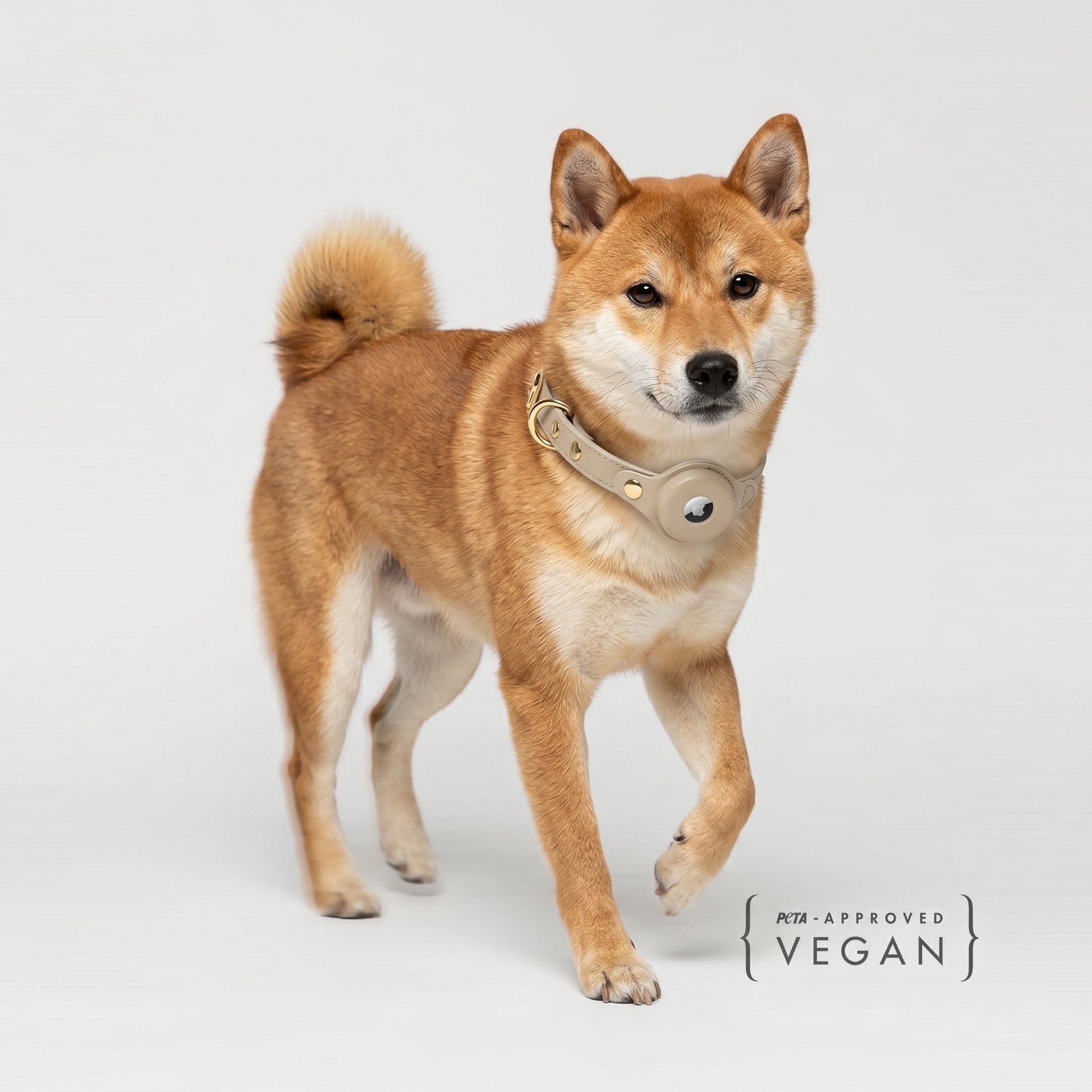 Vegan Leather Dog Collar AirTag Holder