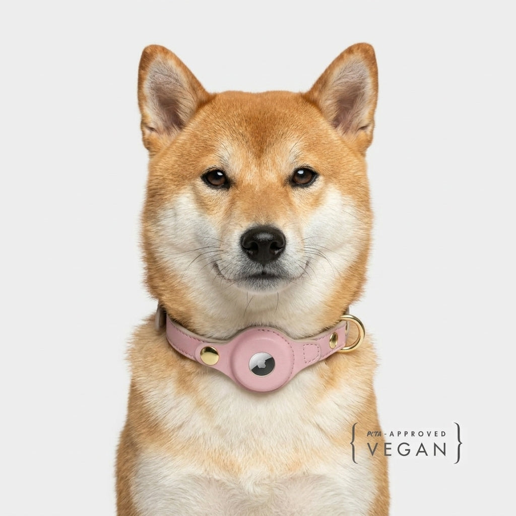 Vegan Leather Dog Collar AirTag Holder