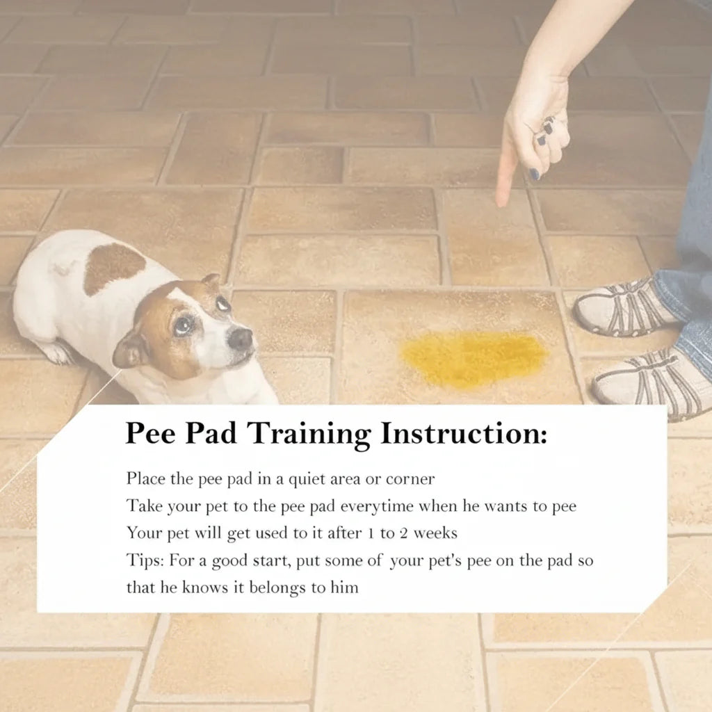Washable Training Cotton Pads